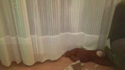 CalipoMad — Cam4 stream photo (Mar 2026)