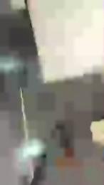 spspdot — Cam4 stream photo (Apr 2026)