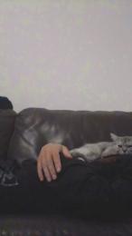 bubulle3786 — webcam model online on cam4