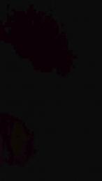 teddy2008 — webcam model online on cam4