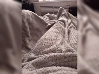 O---R — Bongacams stream photo (Jun 2026)