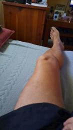 Standgar — Cam4 stream photo (Aug 2026)