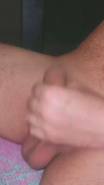 Pinguino08 — Cam4 stream photo (Apr 2026)