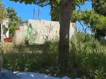 spanish_gym — webcam model online on chaturbate