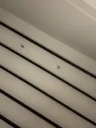 curchez_ — Stripchat stream photo (Apr 2026)