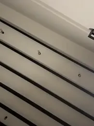 curchez_ — Stripchat stream photo (Apr 2026)