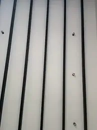 curchez_ — stripchat