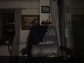 ThickDick_Daddy — stripchat