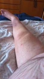 otelmo — webcam model online on cam4