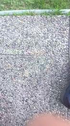francesc1009 — Cam4 stream photo (Jun 2026)