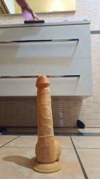 sesto4 — Cam4 stream photo (Feb 2026)