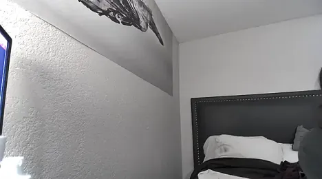 Phattpinktaco — Stripchat stream photo (Feb 2025)