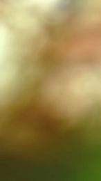 Freecumfre — Cam4 stream photo (Apr 2026)