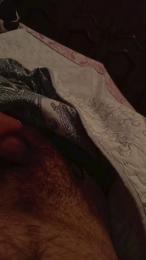 davidof3127 — webcam model online on cam4