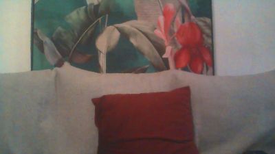 betopela — Cam4 stream photo (Sep 2026)