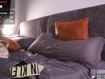 dominic_sullivan1 — Chaturbate stream photo (Apr 2026)