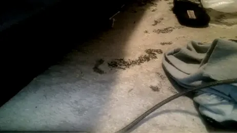 ThICk_JuIcEy — Stripchat stream photo (Apr 2026)