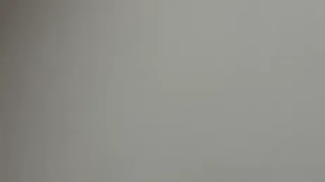 bunnythetailor — Stripchat stream photo (Aug 2025)