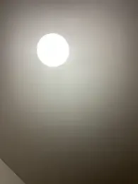 nowariwish — webcam model online on stripchat