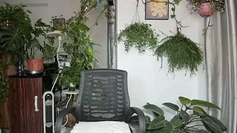 Oliver_Nl — Stripchat stream photo (Apr 2026)