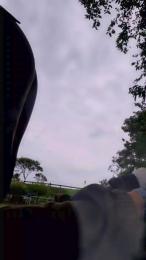 Malepee — Cam4 stream photo (Sep 2026)