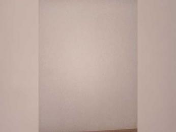 Palmyra — webcam model online on bongacams