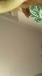 Antonio93_hot — Cam4 stream photo (Apr 2026)