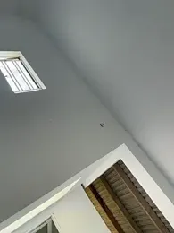 9Dragon9 — Stripchat stream photo (Aug 2026)