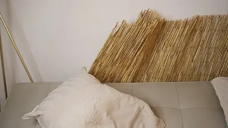 bunnycuteshy — Stripchat stream photo (Apr 2026)