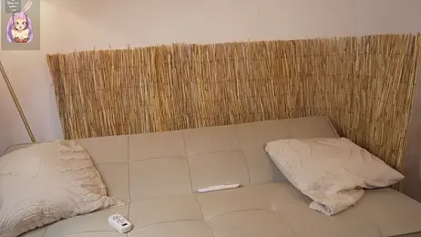 bunnycuteshy — Stripchat stream photo (Apr 2026)