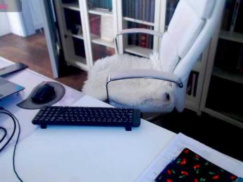 _Angelina_ — bongacams