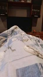 francogri — Cam4 stream photo (Mar 2026)