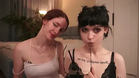 TeaseDealer — stripchat