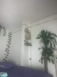 sweet_supreme — Stripchat stream photo (Jul 2026)