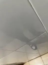 Black-mamba-madingo — webcam model online on stripchat