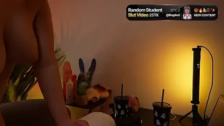 BogduziDolls — webcam model online on stripchat