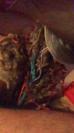 HeRmETiCoo — Cam4 stream photo (Apr 2026)