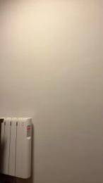 MeMolaMuxo — Cam4 stream photo (Feb 2026)