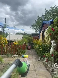Bear-Dadd — Stripchat stream photo (Jul 2026)