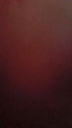 albertillo2 — Cam4 stream photo (May 2026)