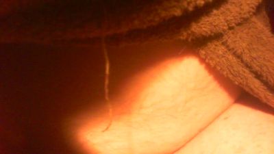 allblond1 — Cam4 stream photo (Sep 2026)