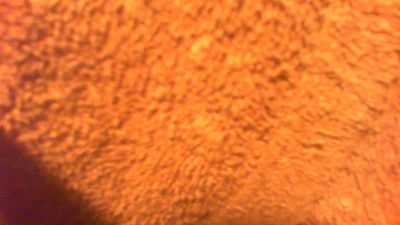 allblond1 — Cam4 stream photo (Sep 2026)