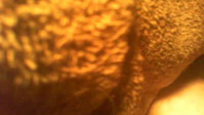 allblond1 — Cam4 stream photo (Sep 2026)