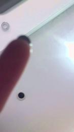 Regina_26 — Cam4 stream photo (Apr 2026)