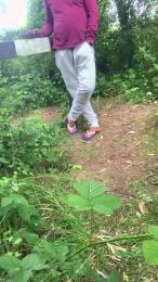 Joueurh — Cam4 stream photo (Jun 2026)