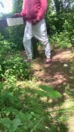 Joueurh — Cam4 stream photo (Jun 2026)