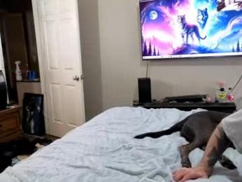 crownandkat — webcam model online on chaturbate