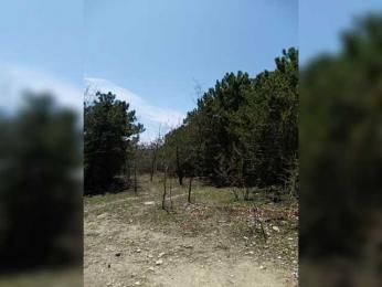 ___Pypsiki___ — Bongacams stream photo (Apr 2026)