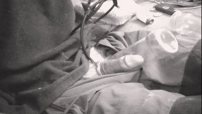 german0hot2 — webcam model online on cam4