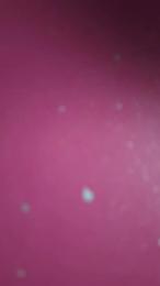 alge18 — webcam model online on cam4